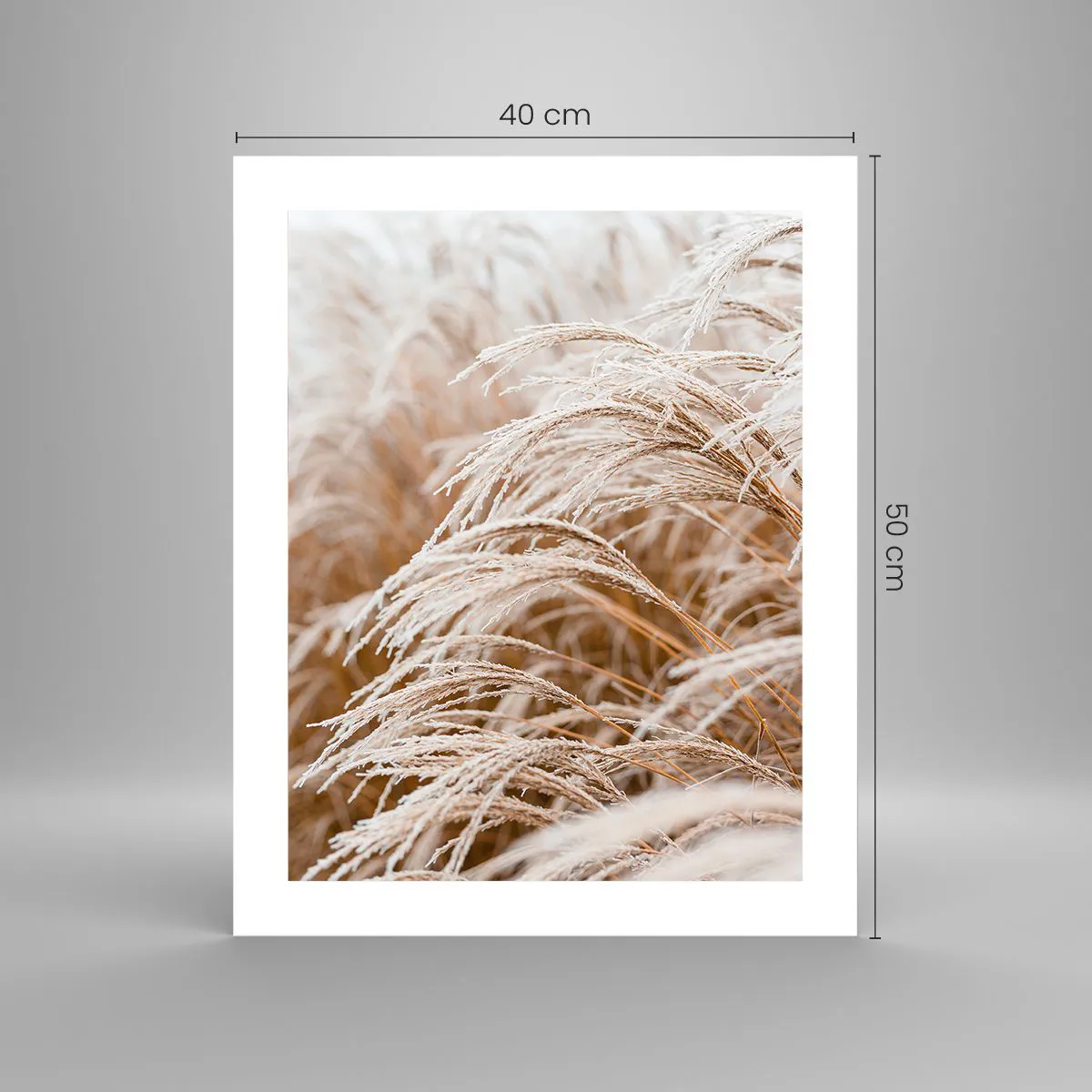 Plakat - Pokłon jesiennemu słońcu - 40x50 cm