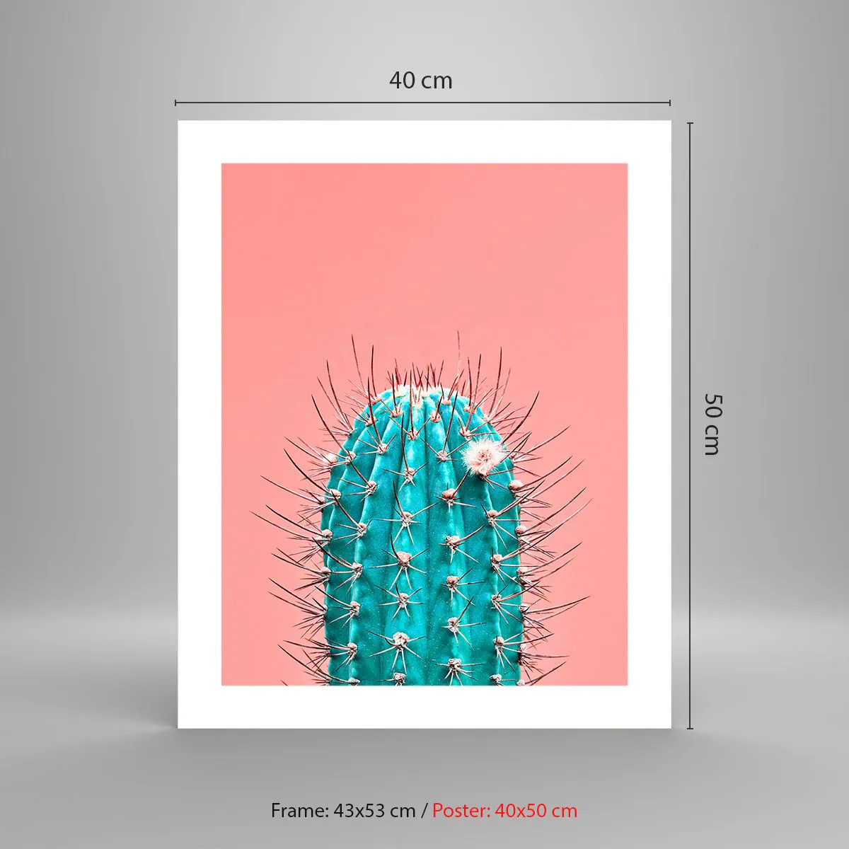 Affiche - Poster - Juste regarde - 40x50 cm