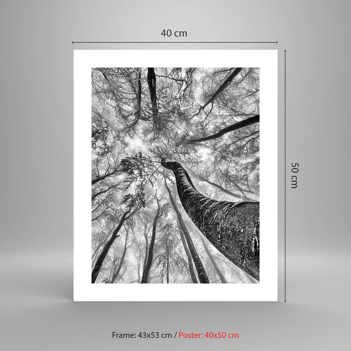 Plakat - Kapløb mod lyset - 40x50 cm