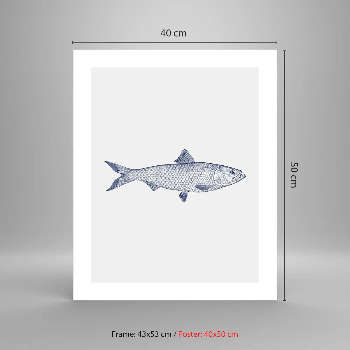 Plakat - Pozdrowienia z północnych mórz - 40x50 cm