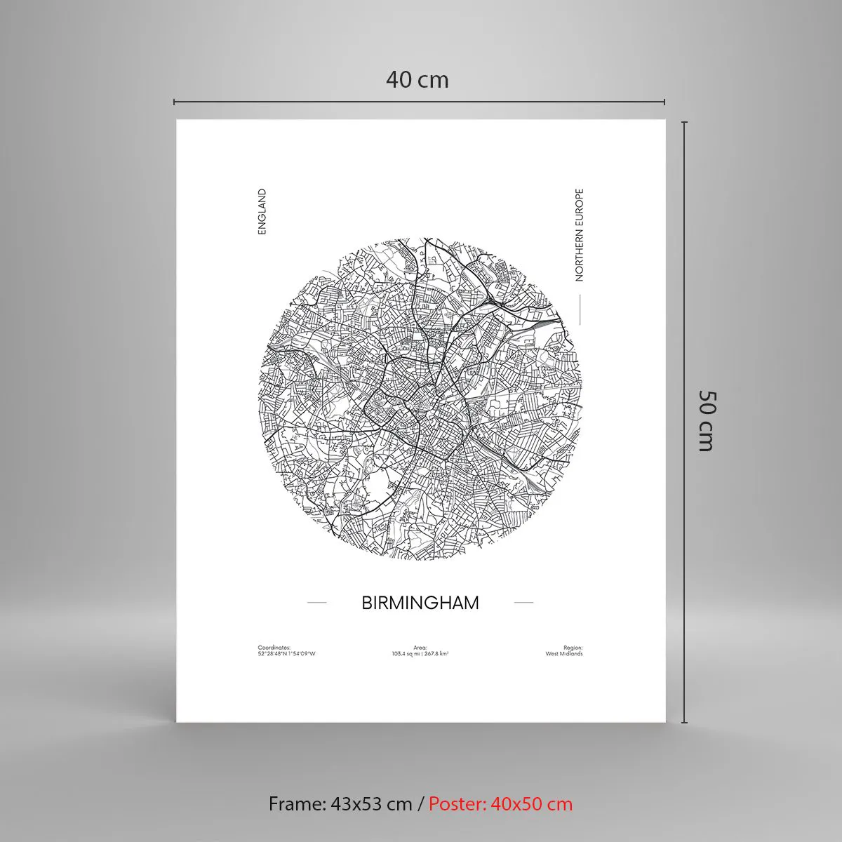 Poster - Anatomie von Birmingham - 40x50 cm