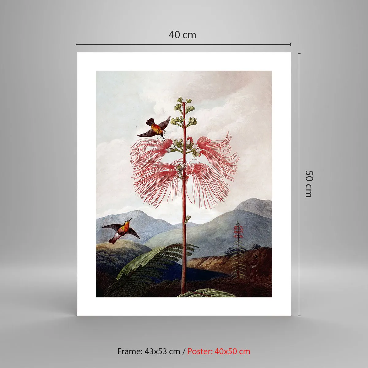 Poster - In a Tropical Paradise - 40x50 cm