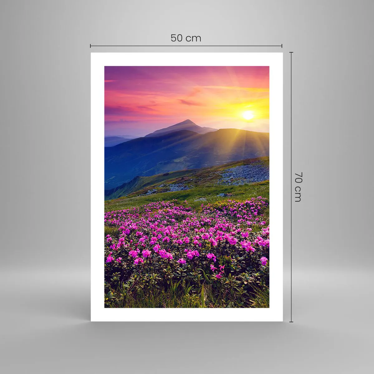 Poster - ... Și peste tot în jur se simte un miros de jneapăn și parfum de ierburi... - 50x70 cm