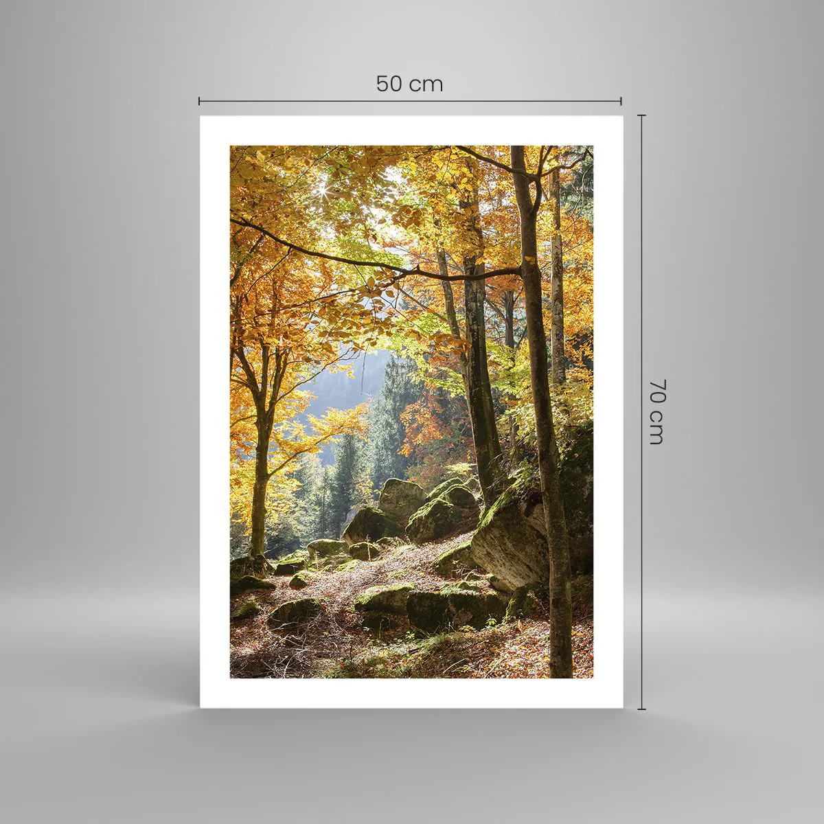 Plakat - Jesienny las z promieniami słońca i kamieniami porośniętymi mchem - 50x70cm - Czas na odpoczynek - Nowoczesna dekoracja ścienna do salonu, kuchni i sypialni ARTTOR