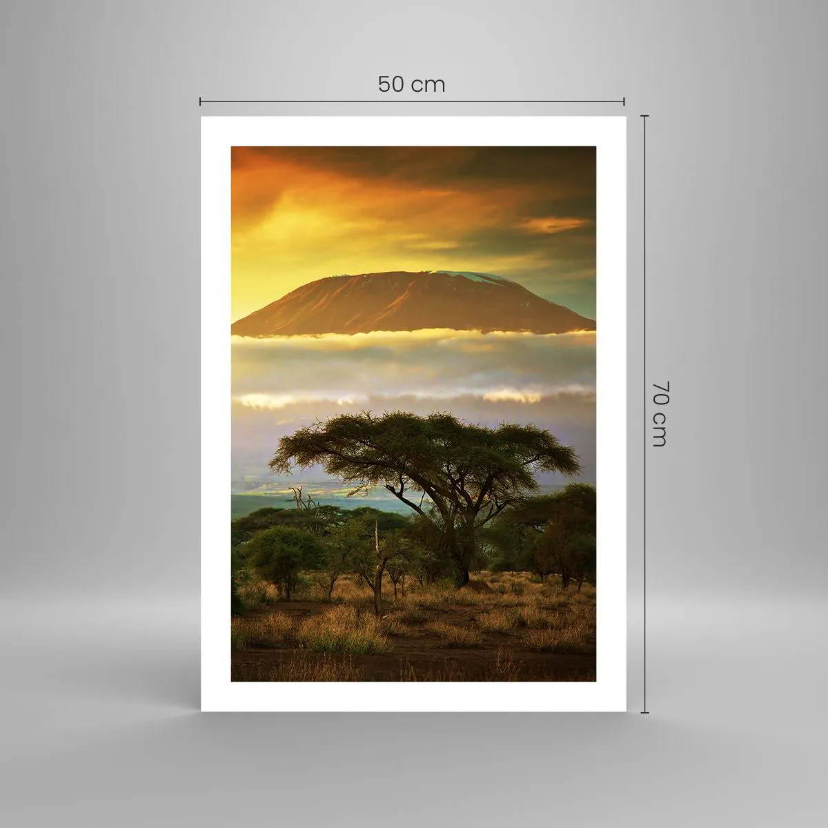 Poster - Visul unui călător - 50x70 cm