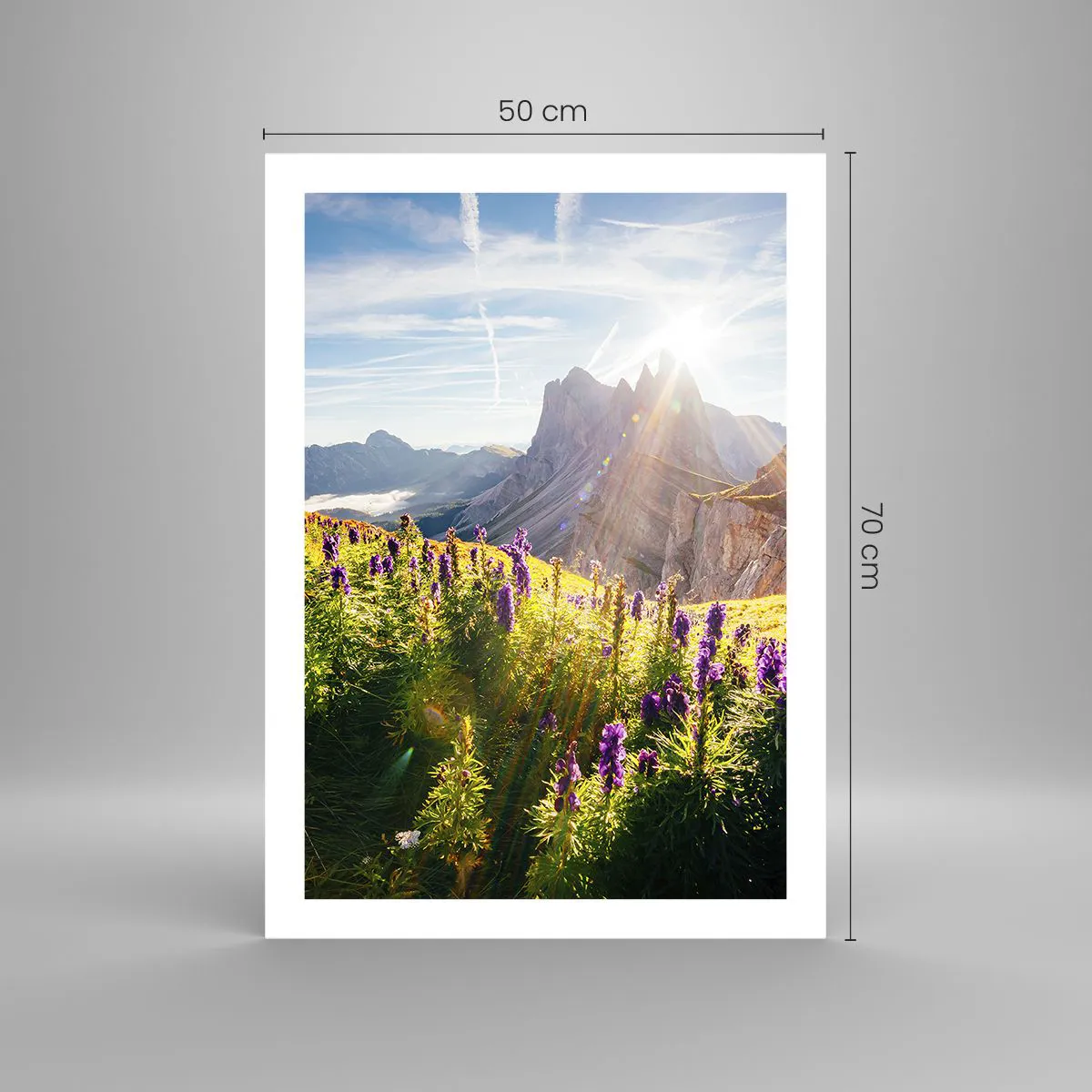 Plagát - Tajomný život bylín - 50x70 cm