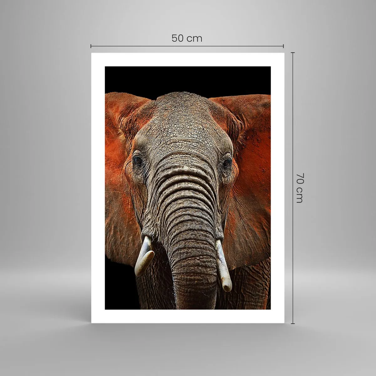 Póster - Retrato de un majestuoso elefante sobre un fondo negro - 50x70cm - Soy salvaje, ¿y tú? - Decoración de pared moderna para salón y dormitorio ARTTOR