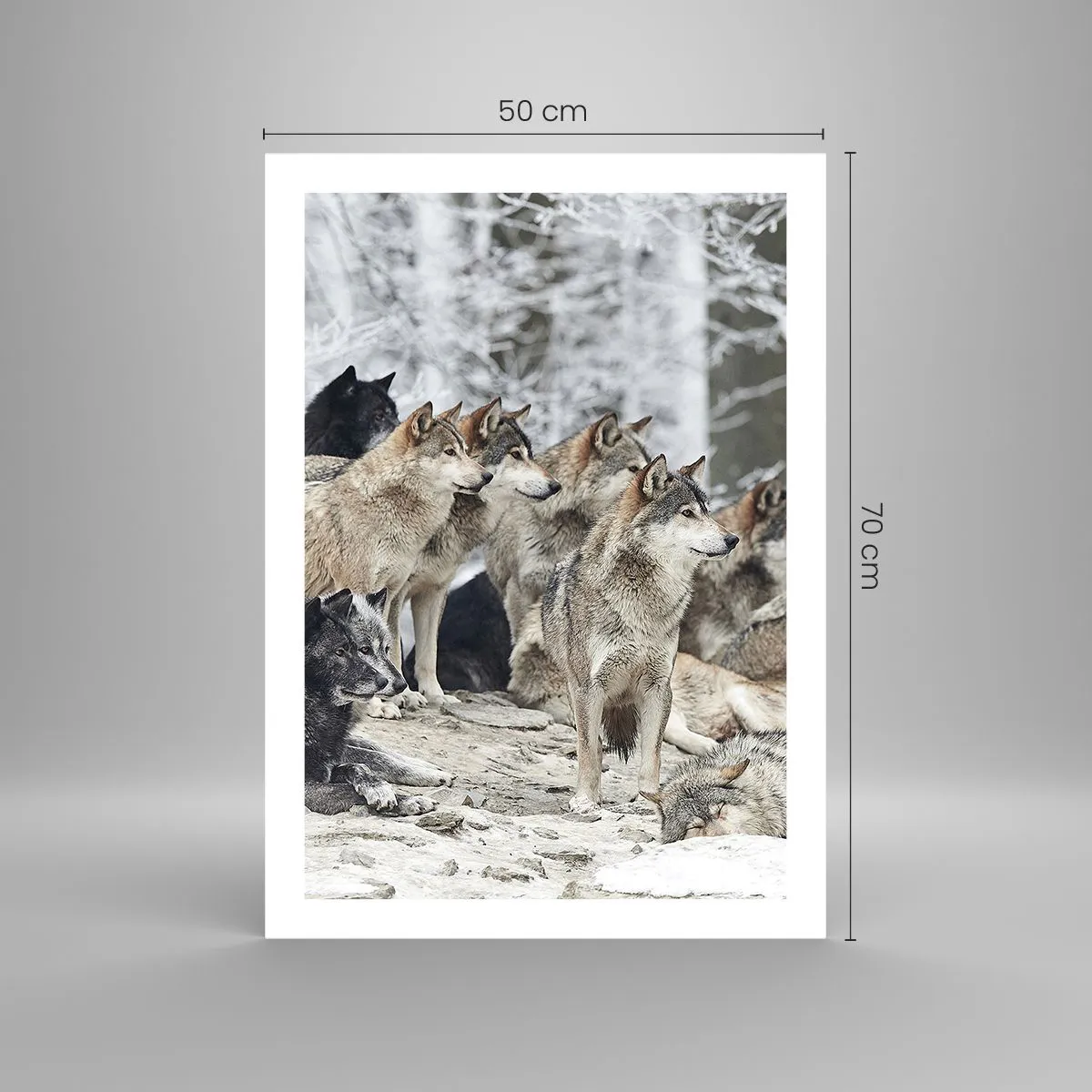 Poster - Familie și prieteni - 50x70 cm