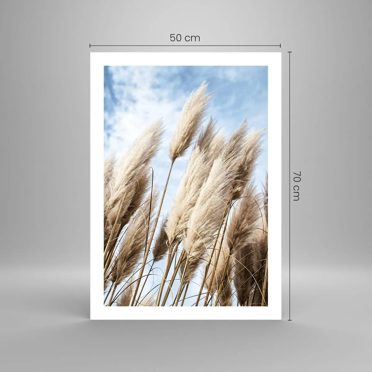Plakat - Pampasowe trawy na tle nieba - 50x70cm - Słoneczna i wietrzna pieszczota - Nowoczesna dekoracja ścienna do salonu, kuchni i sypialni ARTTOR