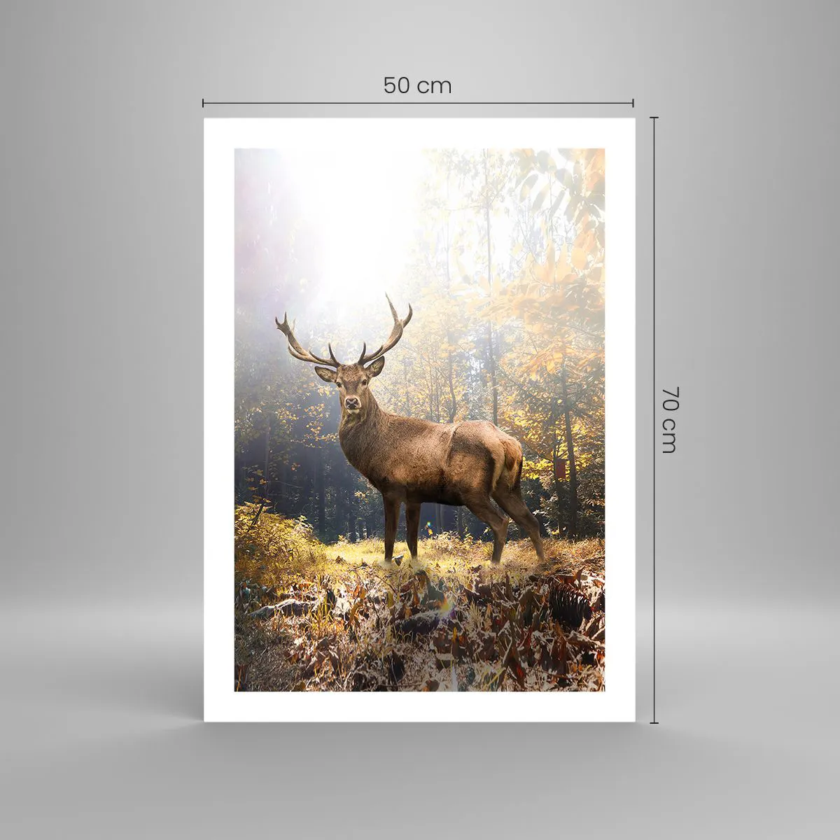 Affiche - Poster - Un cerf dans une forêt éclairée par la lumière du soleil - 50x70cm - Toute sa majesté - Décoration murale moderne pour le salon et la chambre ARTTOR