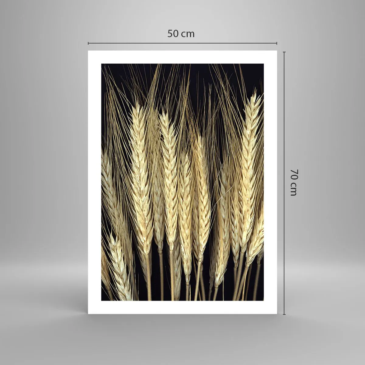 Poster - Nahaufnahme von Weizenähren vor schwarzem Hintergrund - 50x70cm - Rustikale Magie - Moderne Wanddekoration für Wohnzimmer und Schlafzimmer ARTTOR