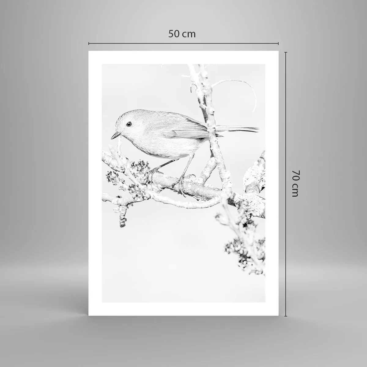 Poster - Schwarz-weiße Zeichnung eines Vogels auf einem Ast - 50x70cm - Wintermorgen - Moderne Wanddekoration für Wohnzimmer und Schlafzimmer ARTTOR