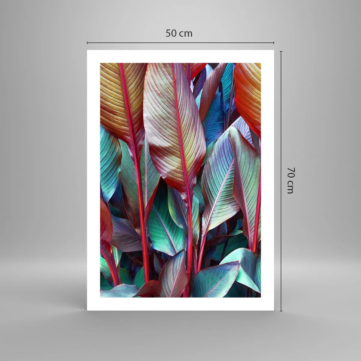 Plagát - Farebná húština - 50x70 cm