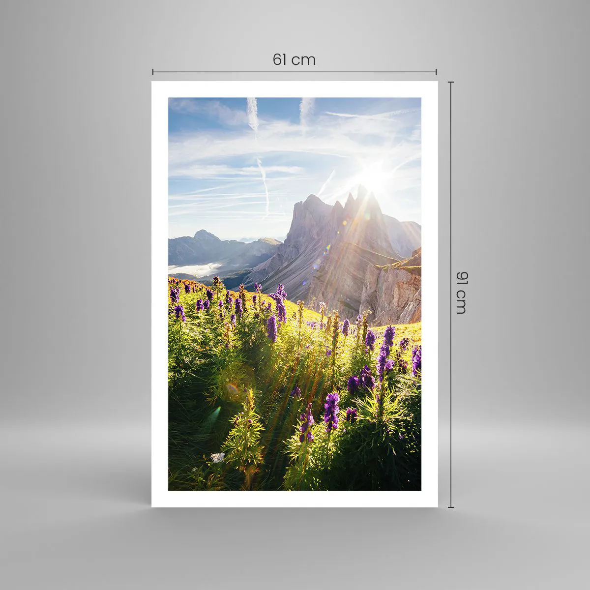 Affiche - Poster - La vie secrète des herbes - 61x91 cm