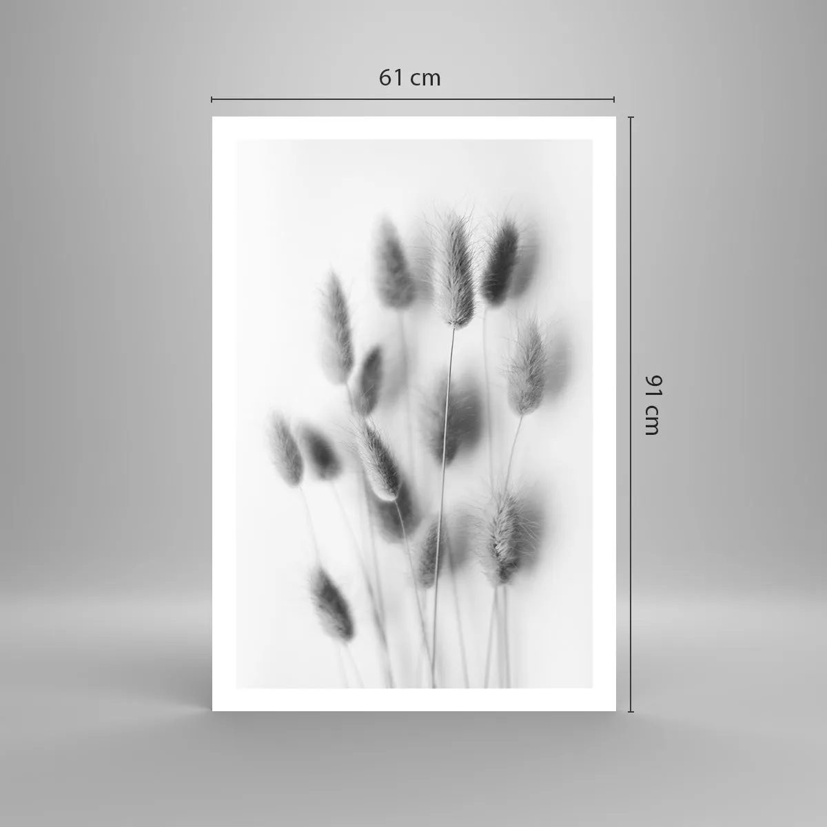 Affisch - Fluffigt gräs - 61x91 cm