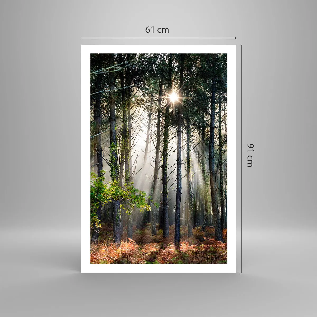Poster - Woodland Area - 61x91 cm