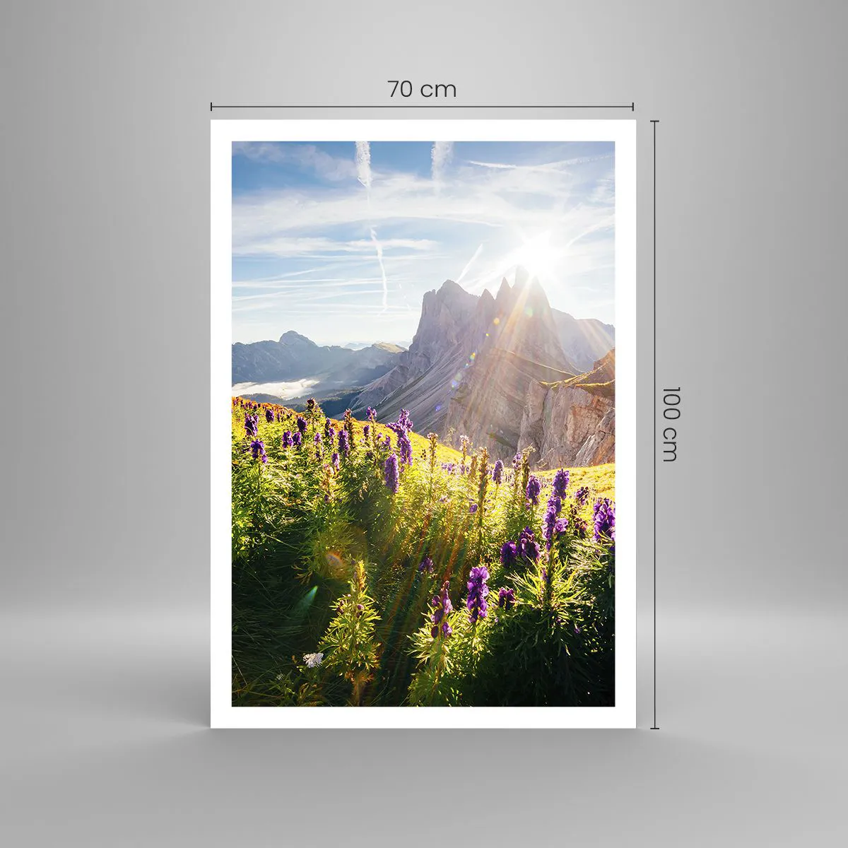 Plakat - Sekretne życie ziół - 70x100 cm