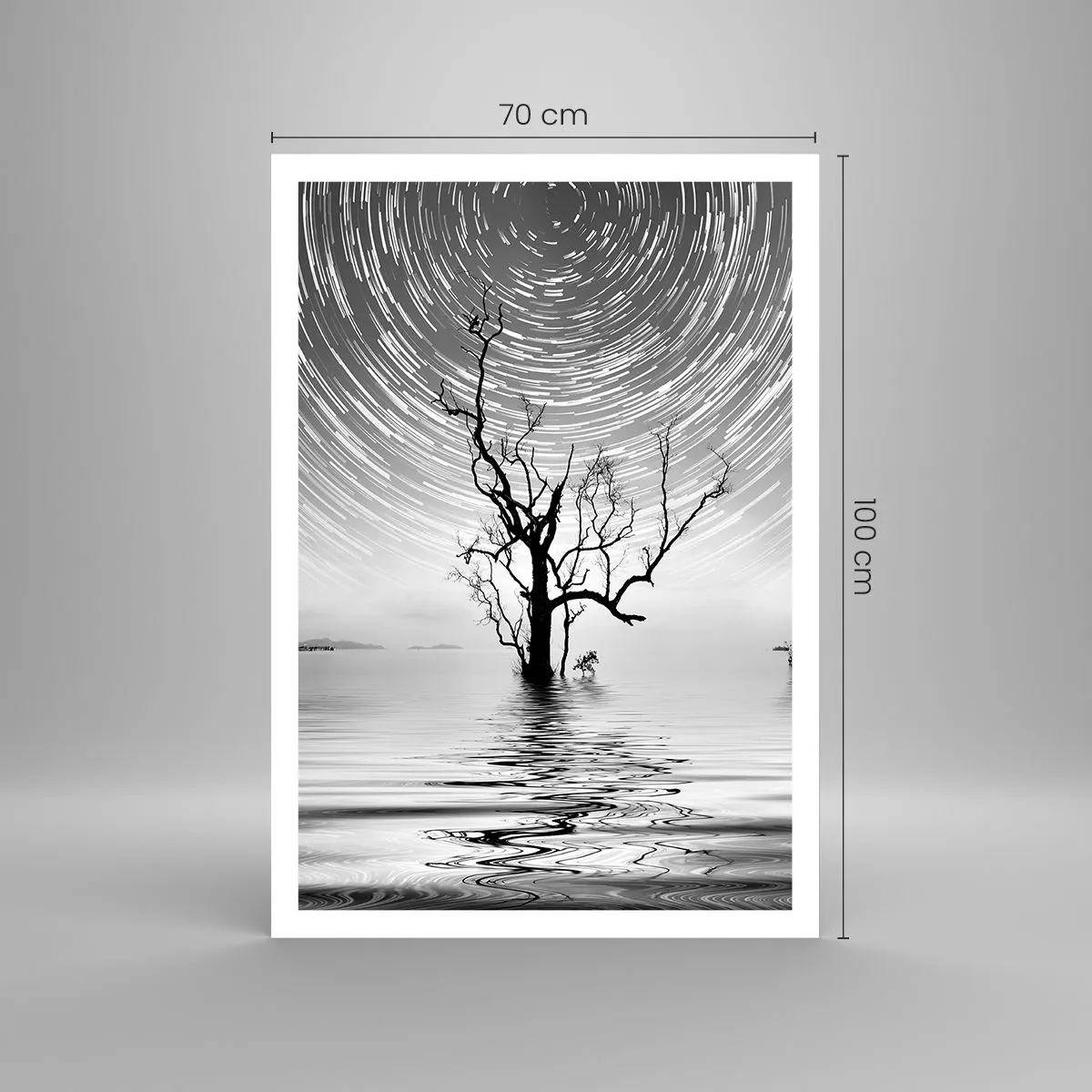 Poster - Symphony of Nature - 70x100 cm
