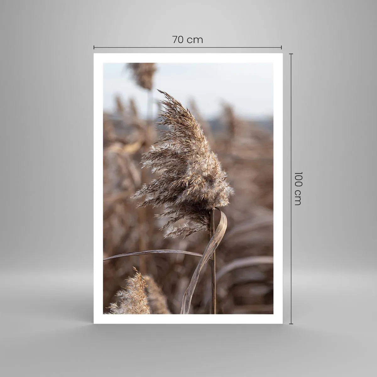 Poster - Zeit, mit dem Wind zu gehen - 70x100 cm