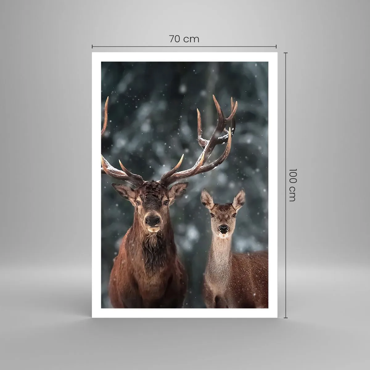 Poszter - Az erdő ura a feleségével - 70x100 cm