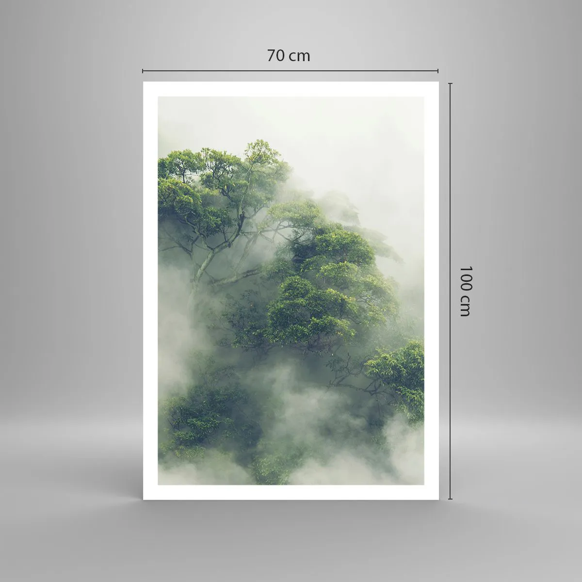 Poster - Înfășurate în ceață - 70x100 cm