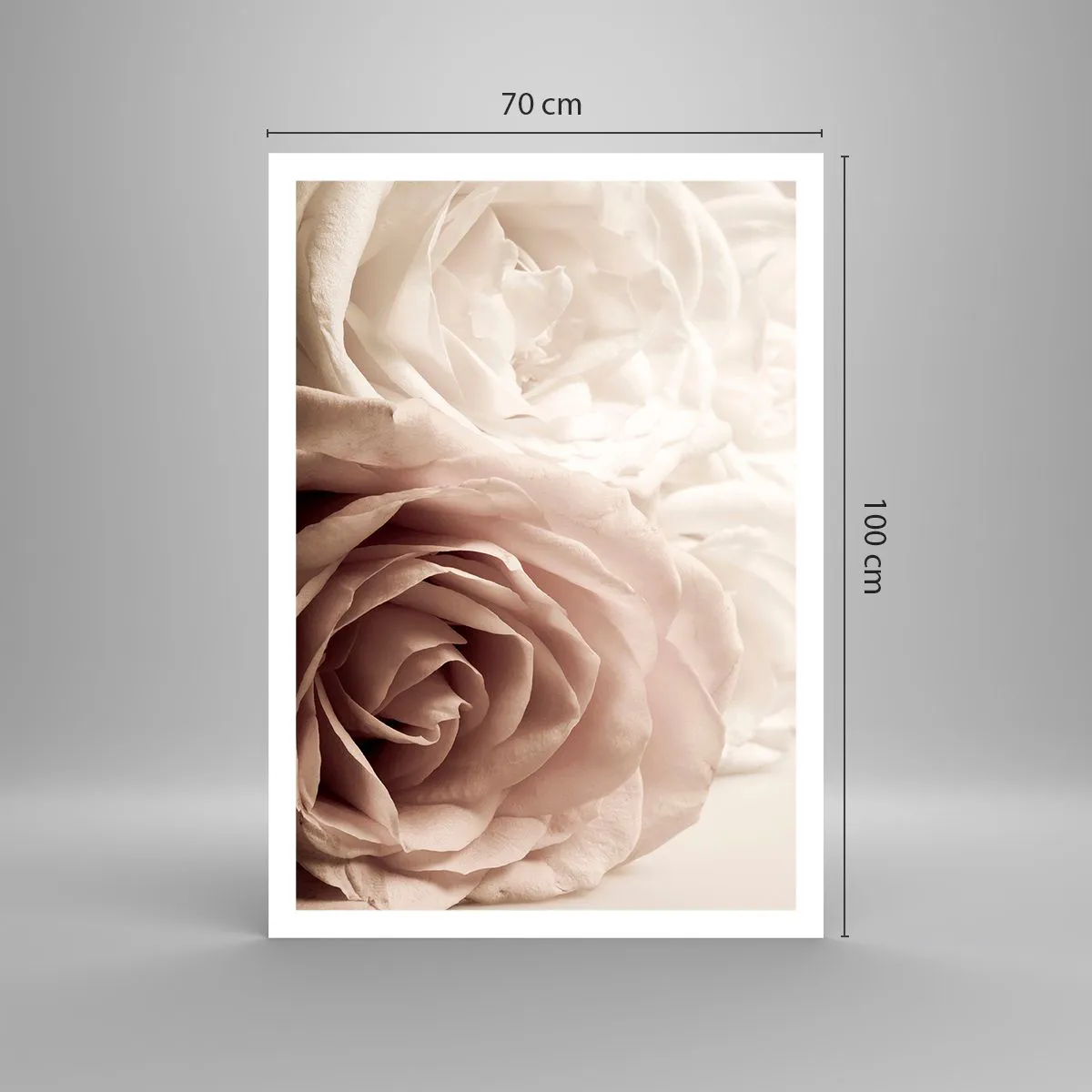 Poster - Im Herzen der Rose - 70x100 cm