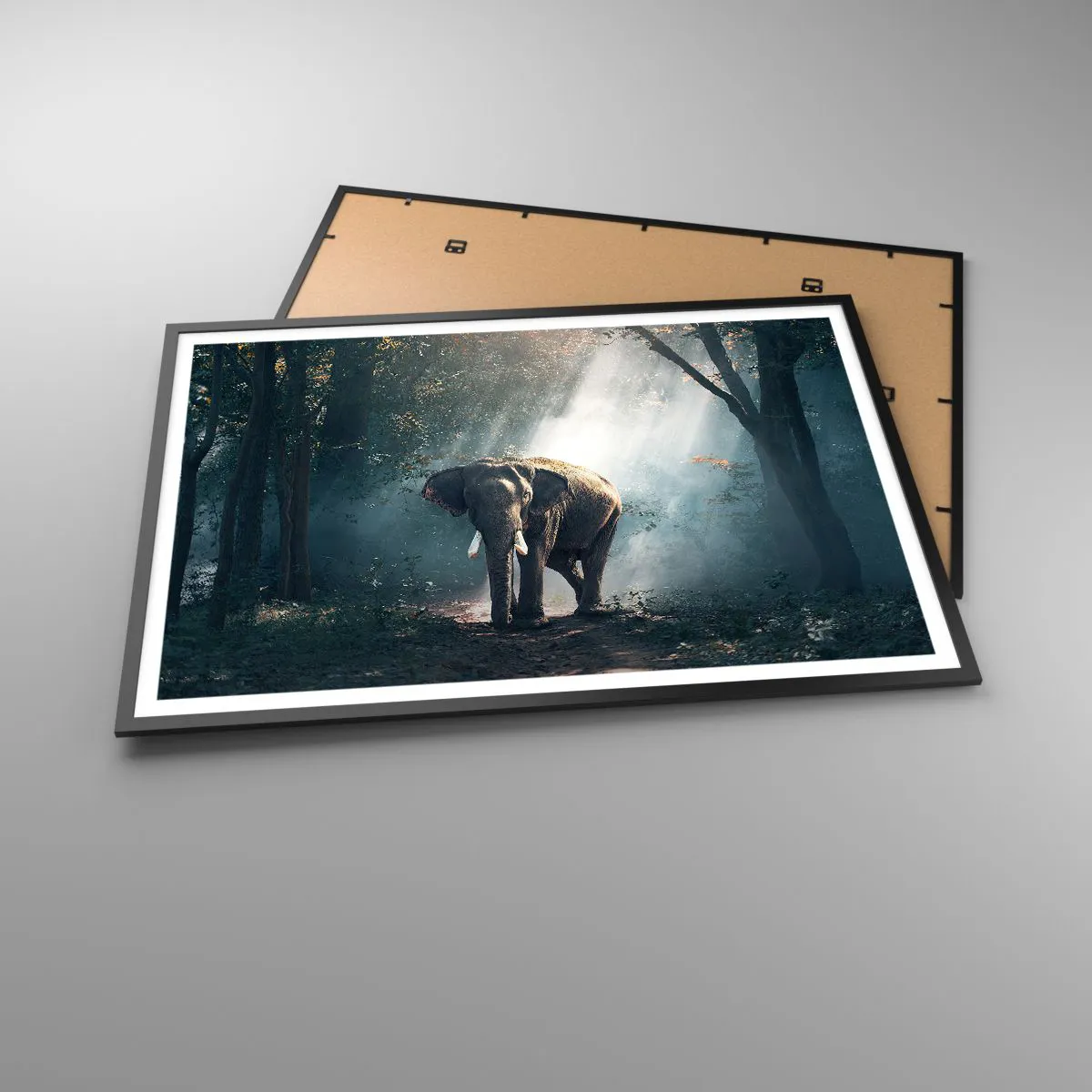 Plakát v černém rámu - Klidná procházka - 100x70 cm