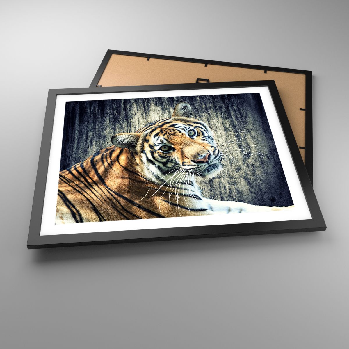 Affiche Animaux, Affiche Tigre, Affiche Afrique, Affiche Animal Sauvage, Affiche Inde