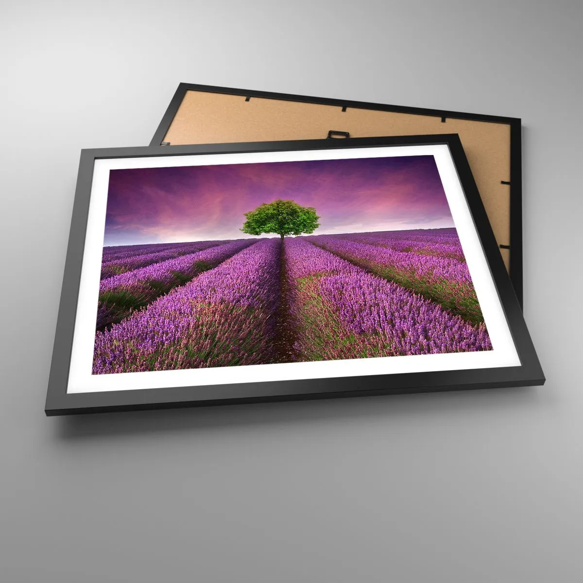 Plakat i sort ramme - I lavendelmarker - 50x40 cm