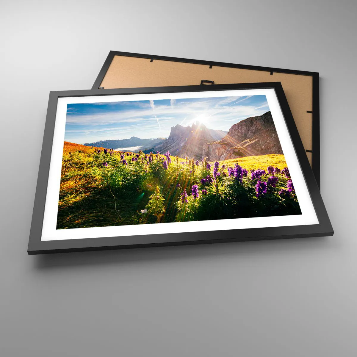 Plakat w czarnej ramie - Sekretne życie ziół - 50x40 cm