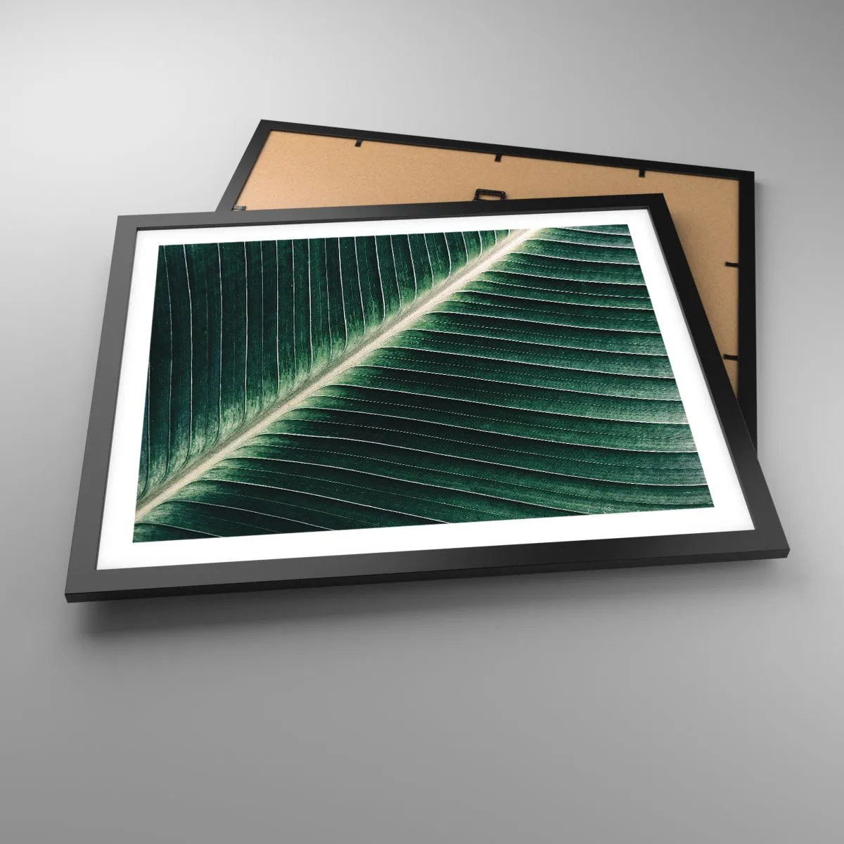 Plakat i sort ramme - Naturens rytme - 50x40 cm