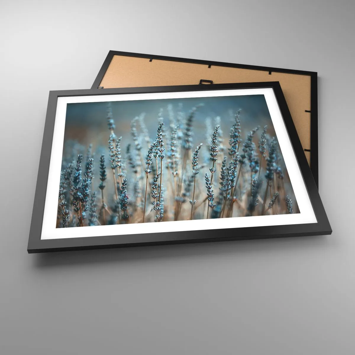 Poster in einem schwarzem Rahmen - Duftendes Kornfeld - 50x40 cm