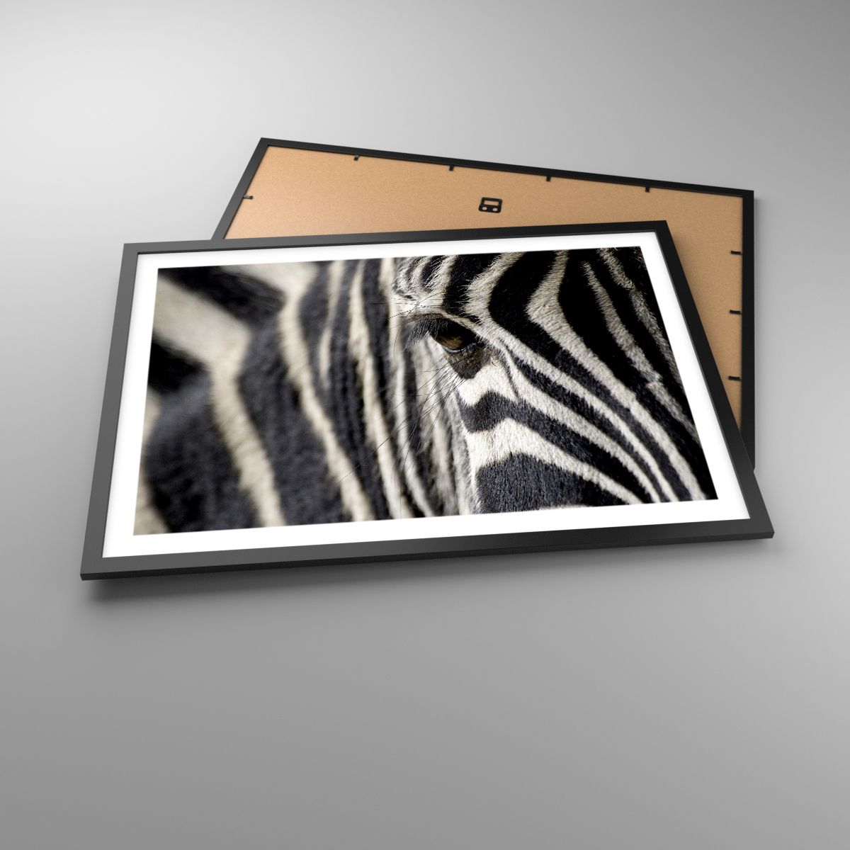 Affiche Animaux, Affiche Côtes, Affiche Afrique, Affiche La Nature, Affiche Noir Et Blanc
