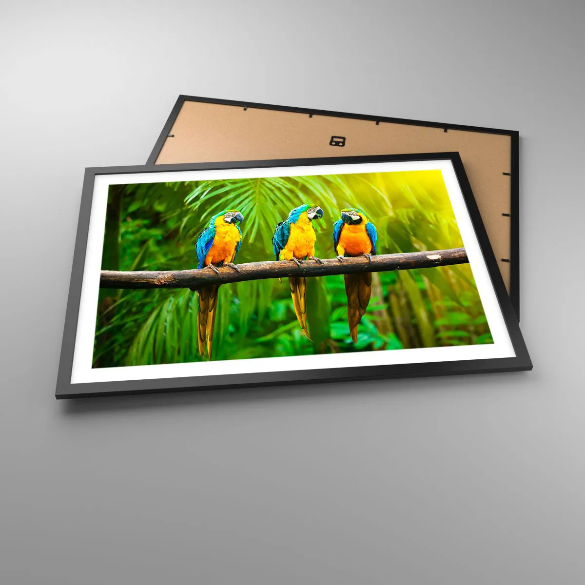 Poster in einem schwarzem Rahmen - Drei bunte Papageien vor einem Hintergrund aus tropischem Grün - 70x50cm - Und hast du gehört, dass sie ...? - Moderne Wanddekoration für Wohnzimmer und Schlafzimmer ARTTOR