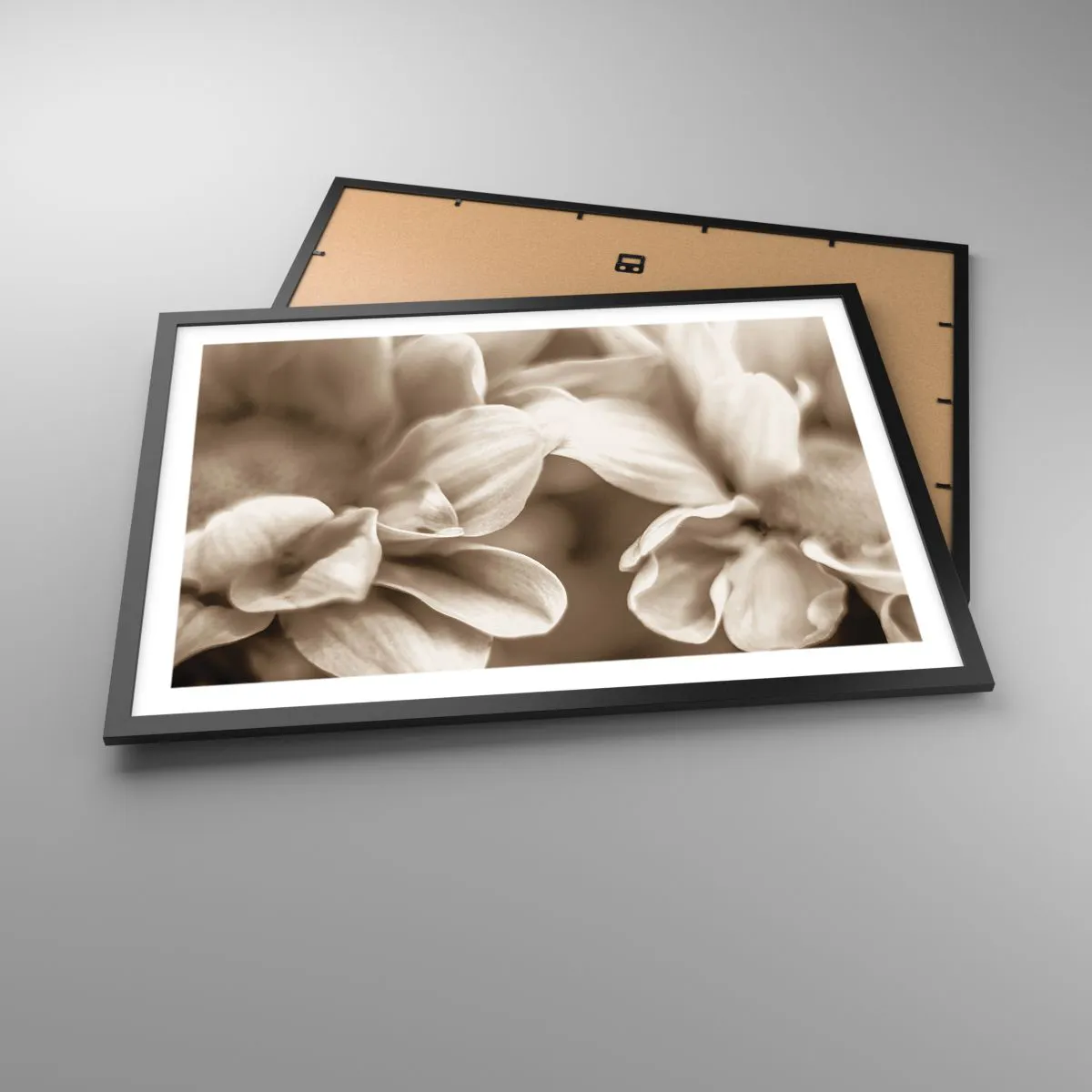 Poster in einem schwarzem Rahmen - Nahaufnahme von Blüten in zartem Sepia-Ton mit weichen Konturen - 70x50cm - So sanft wie ein Lächeln - Moderne Wanddekoration für Wohnzimmer und Schlafzimmer ARTTOR