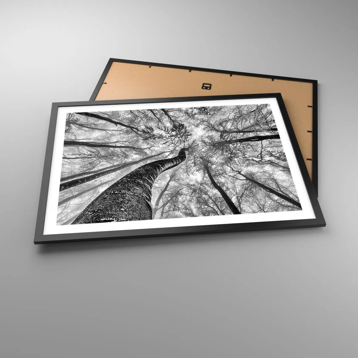 Poszter fehér keretben - Verseny a fény felé - 70x50 cm