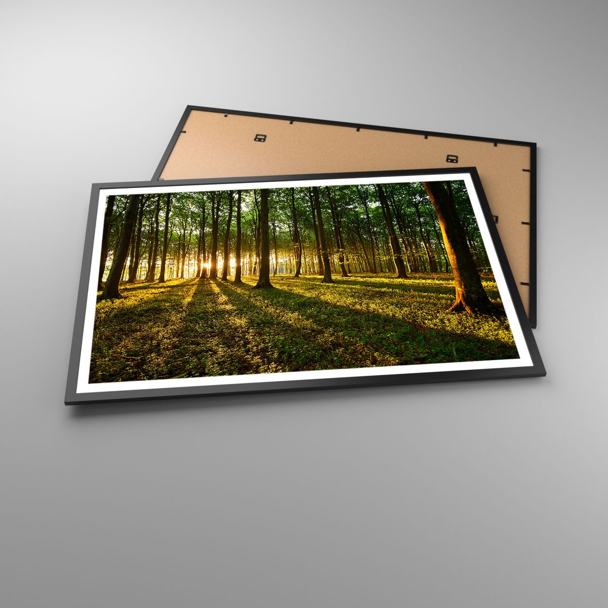 Poster Landschaft, Poster Wald, Poster Natur, Poster Bäume, Poster Sonnenstrahlen
