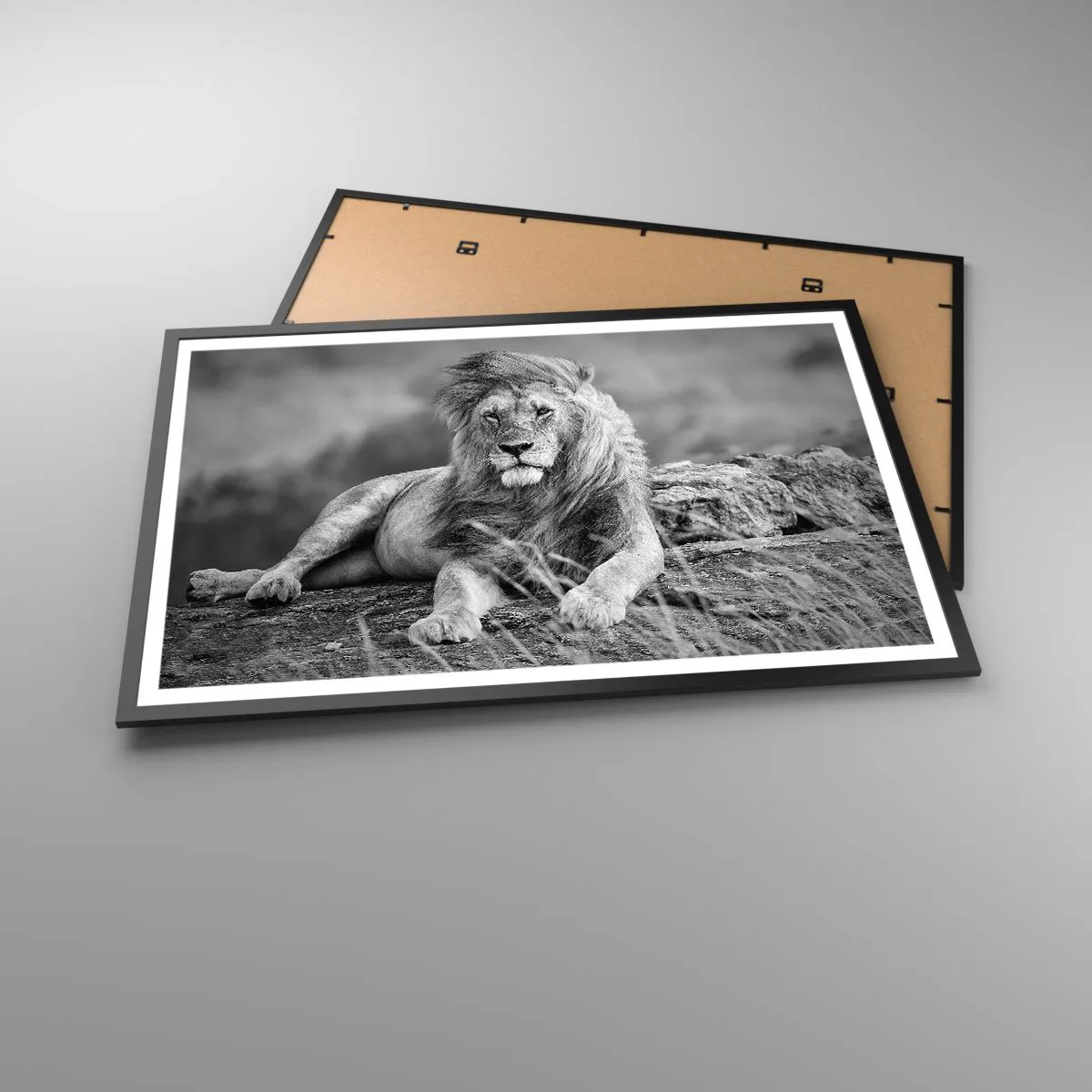 Affiche dans un cadre noir - Poster - Sieste royale - 91x61 cm