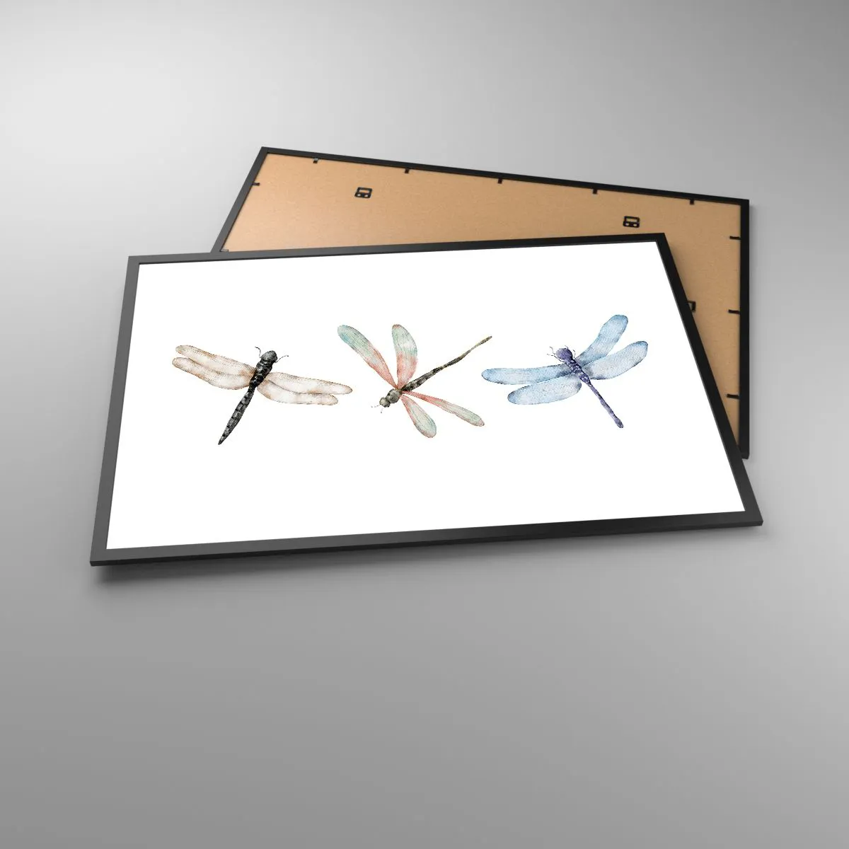 Plagát v čiernom ráme - Beztiažové vážky - 91x61 cm