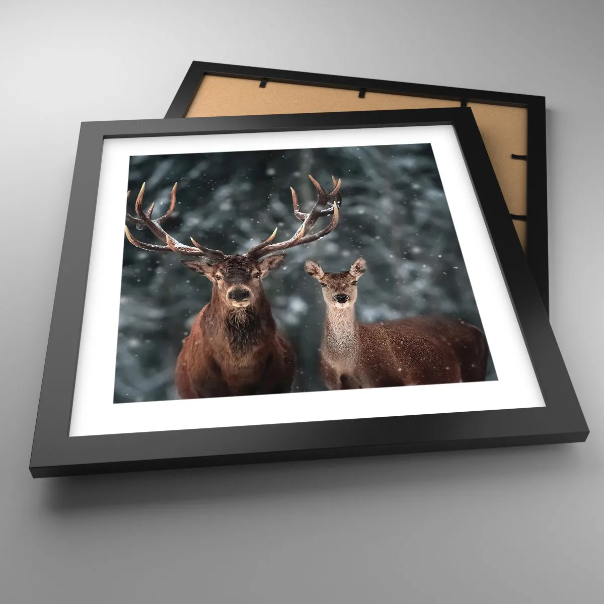 Pôster com moldura preta - O senhor da floresta com sua esposa - 30x30 cm