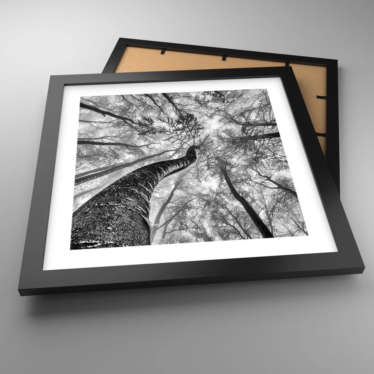 Poszter fehér keretben - Verseny a fény felé - 30x30 cm