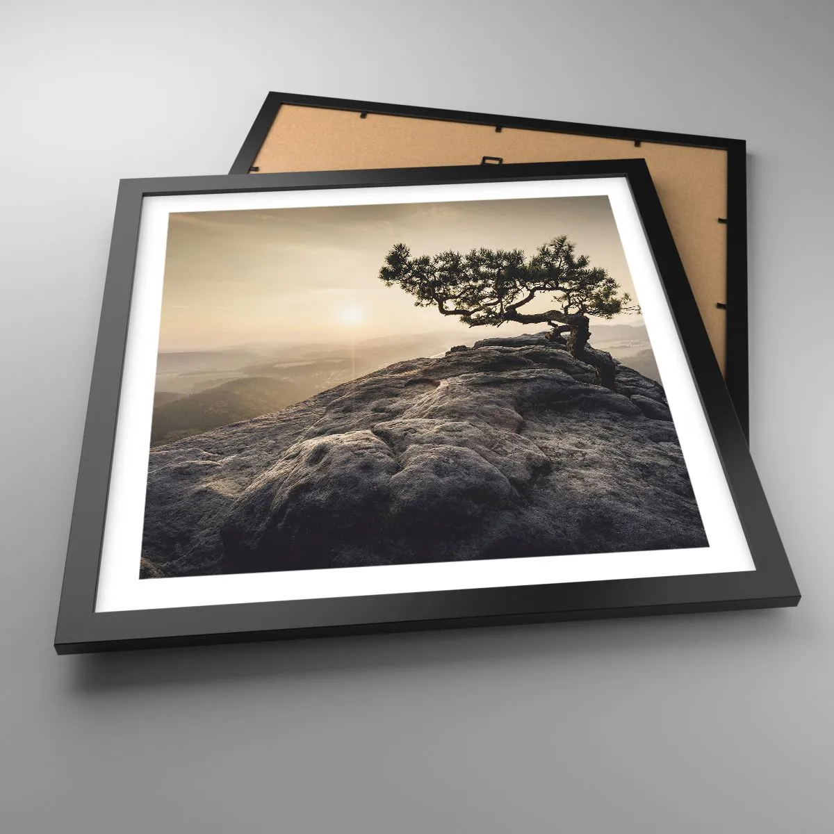 Poster în ramă neagră - Viața învinge întotdeauna - 40x40 cm