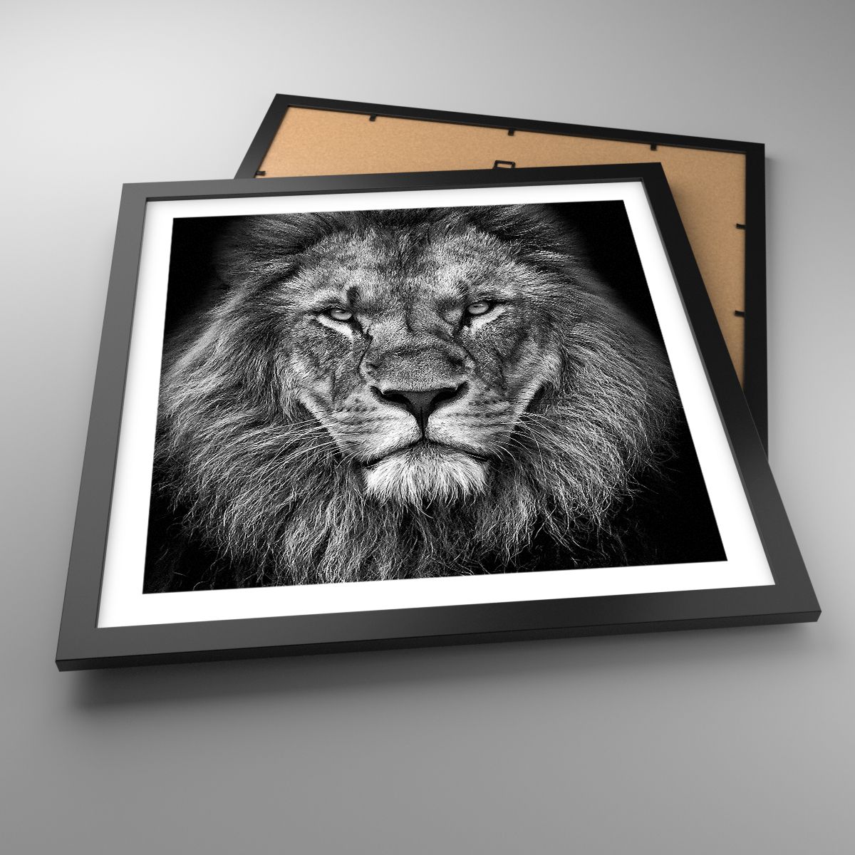 Affiche Animaux, Affiche Lion, Affiche Noir Et Blanc, Affiche La Nature, Affiche Afrique