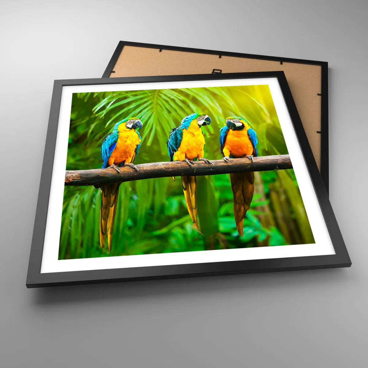 Affiche dans un cadre noir - Poster - Et avez-vous entendu qu'elle ...? - 50x50 cm