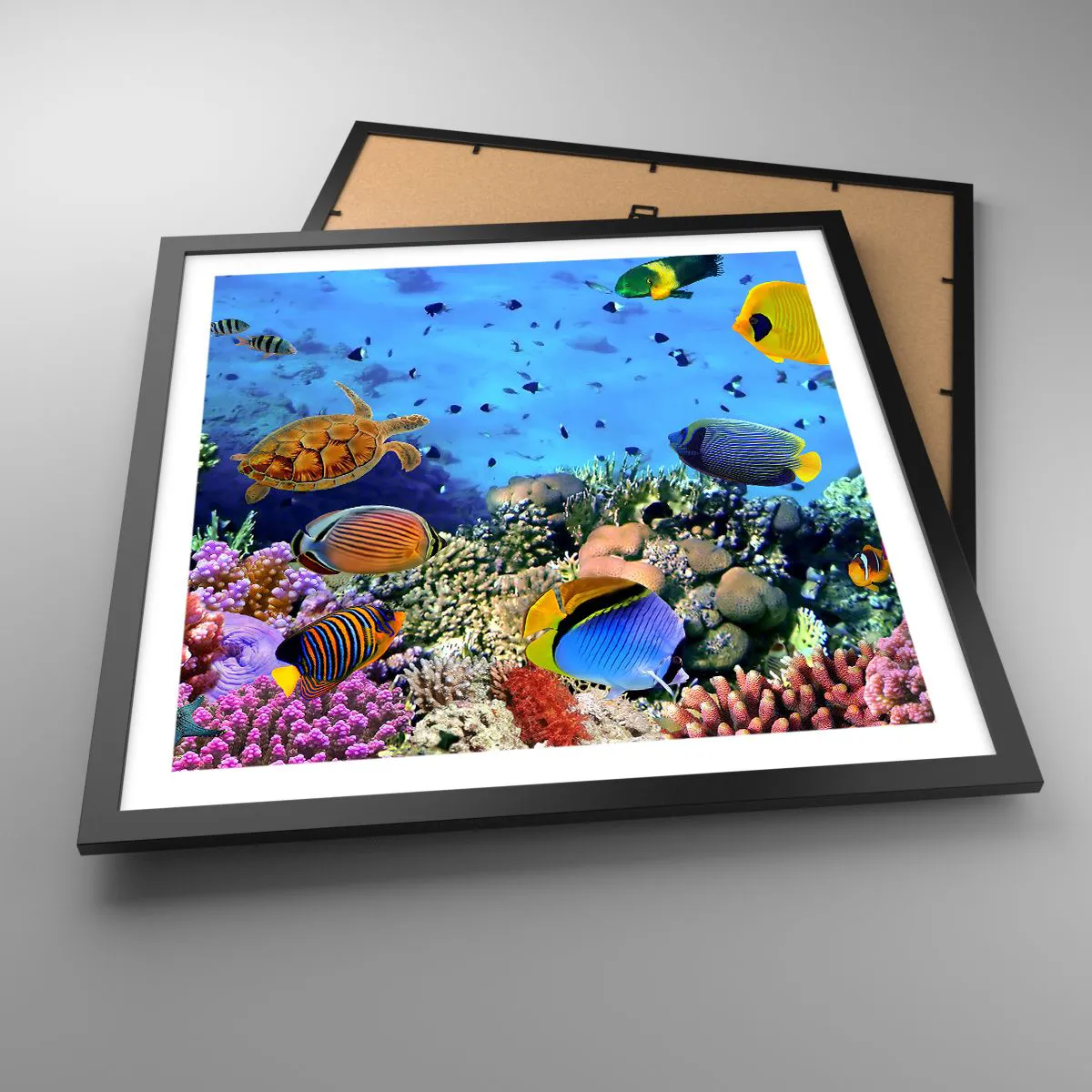 Affiche dans un cadre noir - Poster - Et que sait-on de la vie… - 50x50 cm