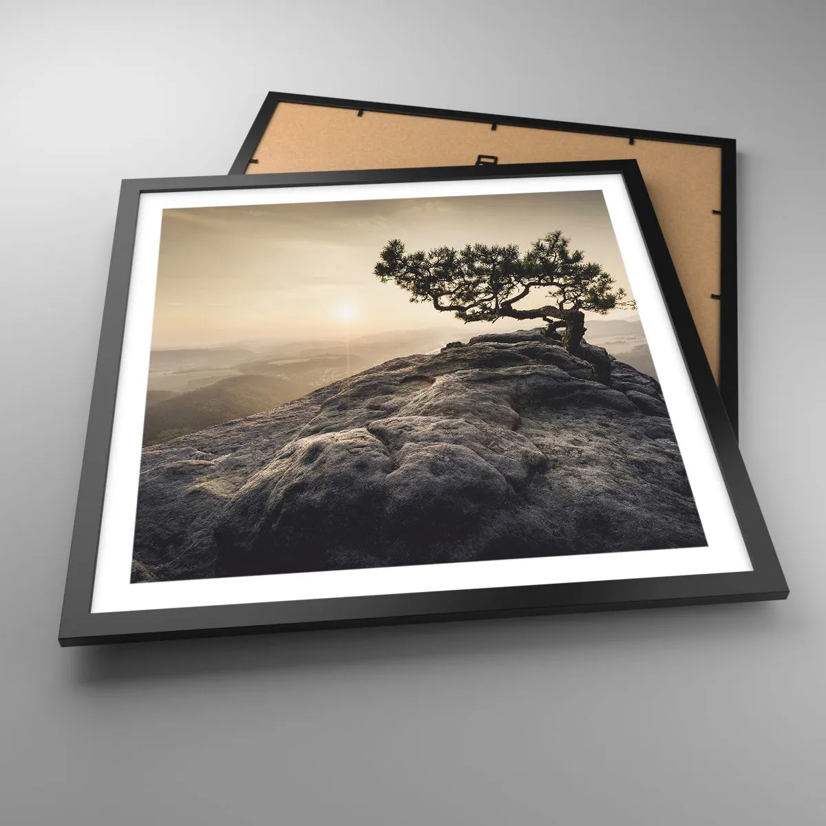 Plakát v černém rámu - Život vždy vítězí - 50x50 cm