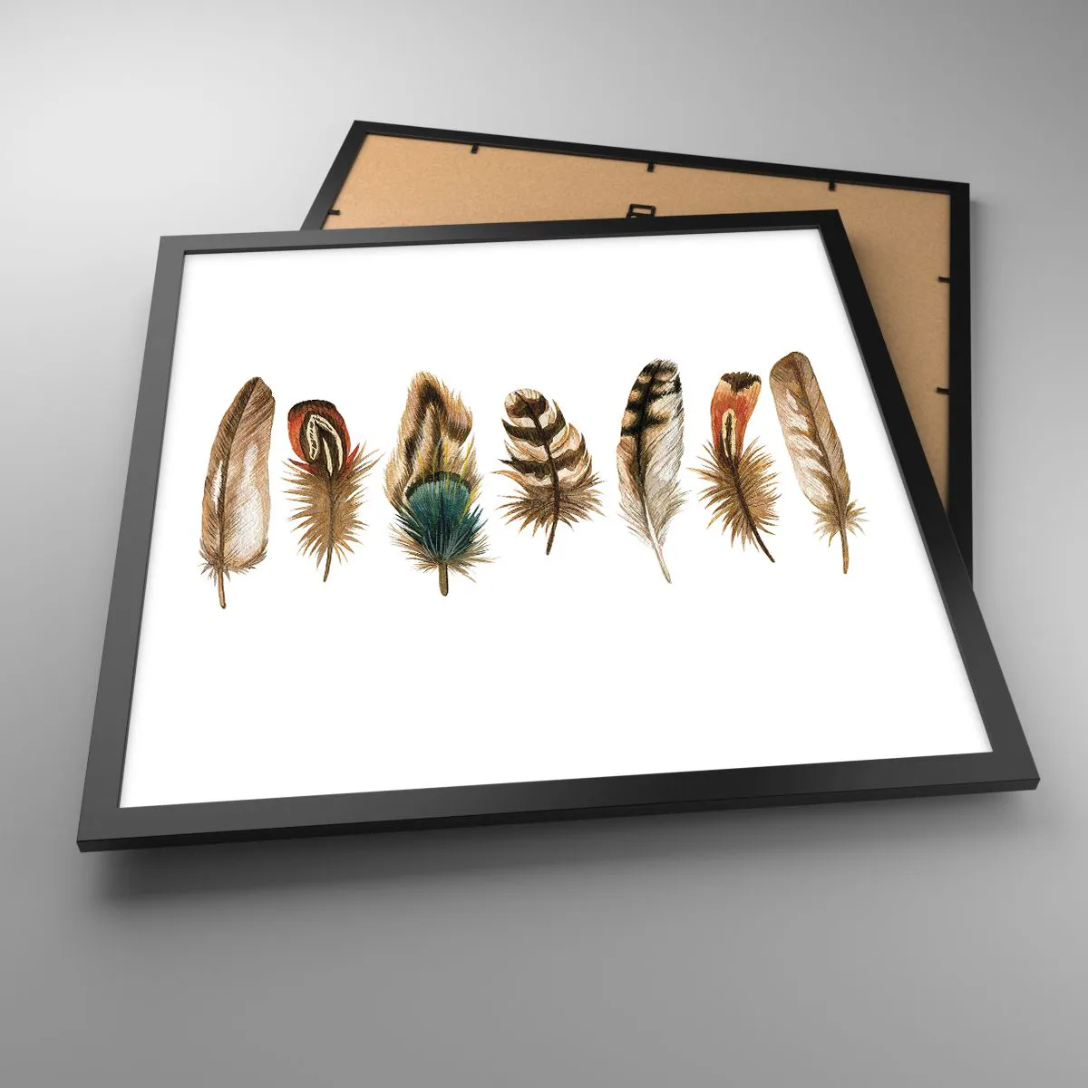Affiche dans un cadre noir - Poster - Variation à plumes - 50x50 cm
