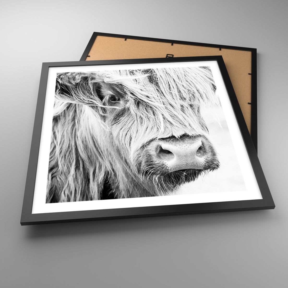 Affiche Vache Highland Écossaise, Affiche Animaux, Affiche Noir Et Blanc, Affiche Écosse, Affiche Art Moderne