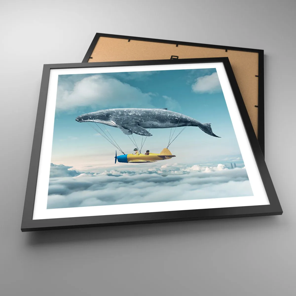 Plakat w czarnej ramie - Dlaczego nie? - 50x50 cm