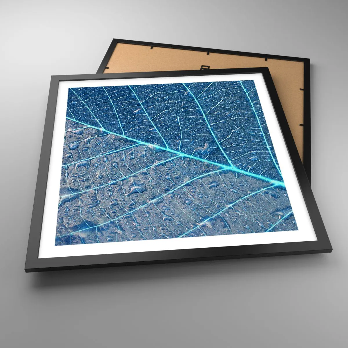 Poster in cornice nera - Vita nel blu - 50x50 cm